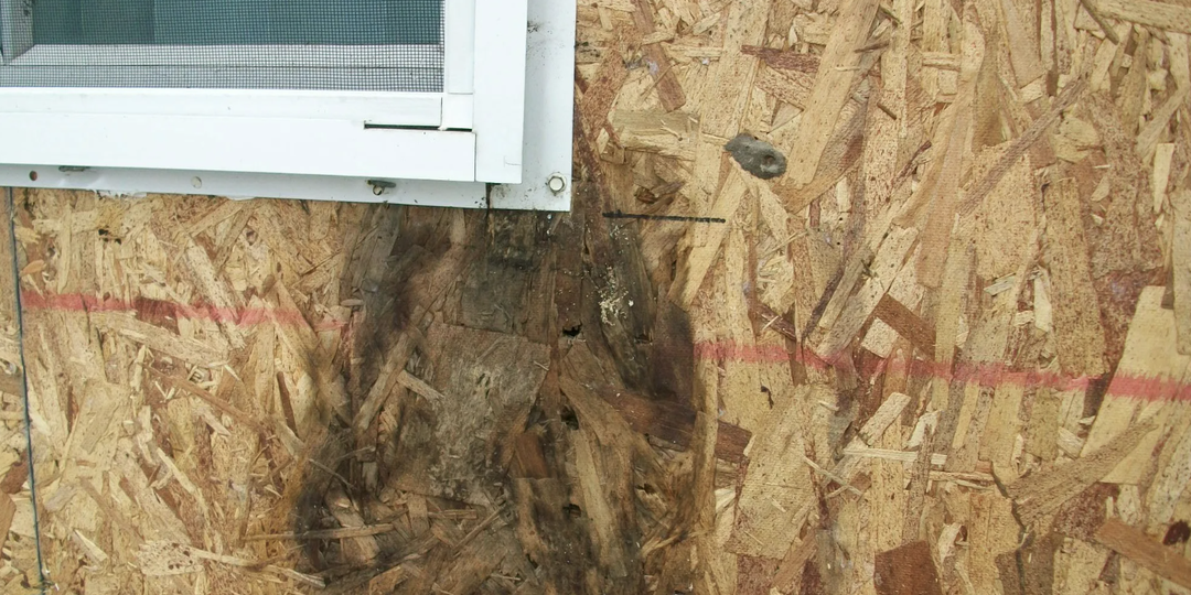 OSB разбухает и не гниёт: простая защита, которую многие игнорируют