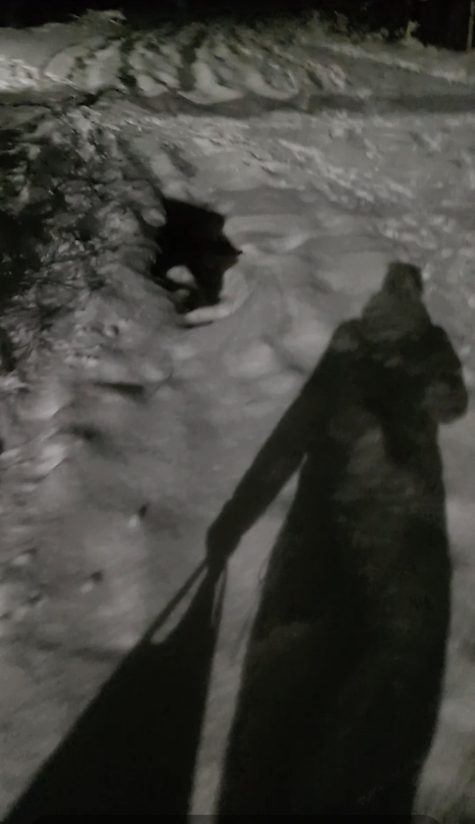 Это я с пакетом. Тяжеленький. 