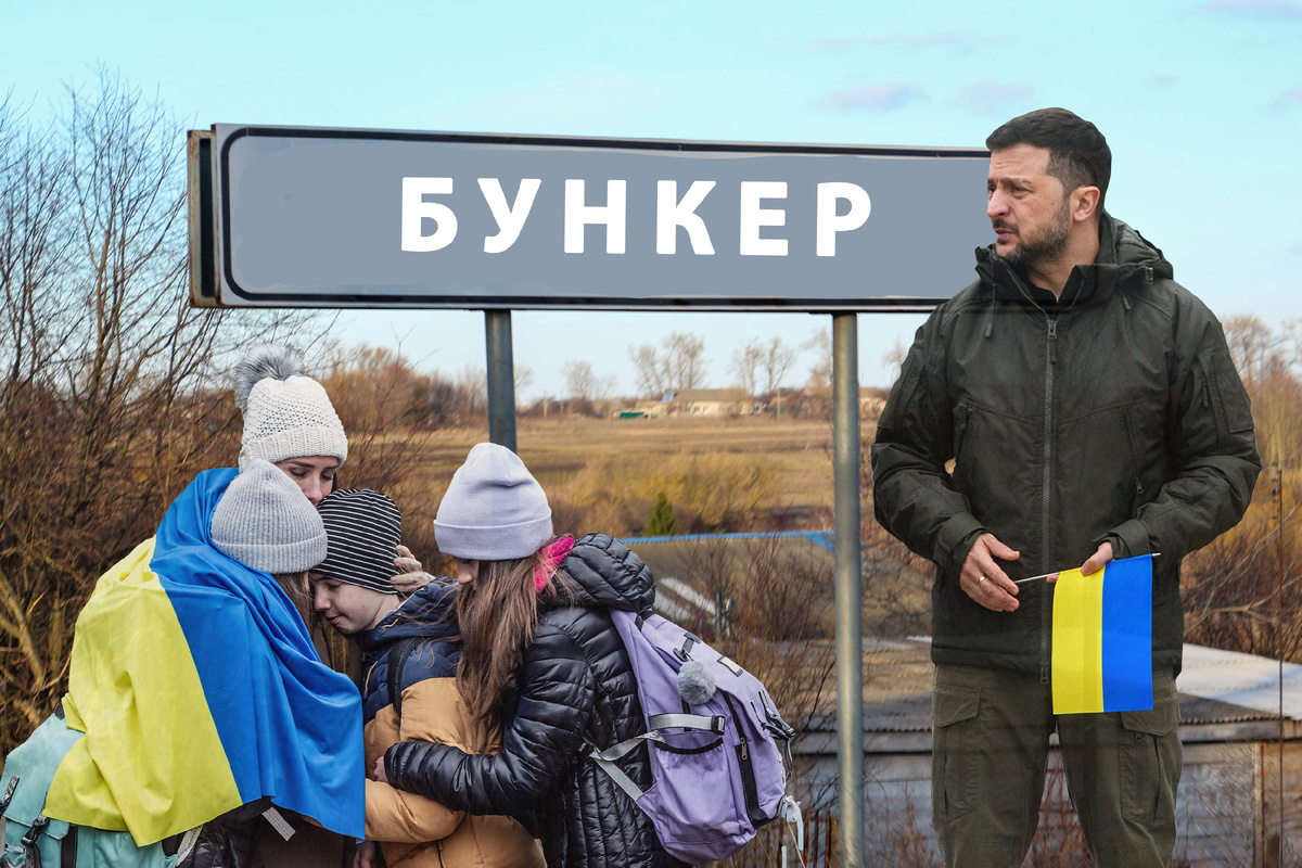 Иллюстрация NEWS.ru/Shutterstock/FOTODOM