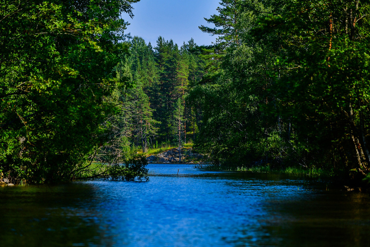    Ладожское озеро. Фото: "Республика" / Сергей Юдин