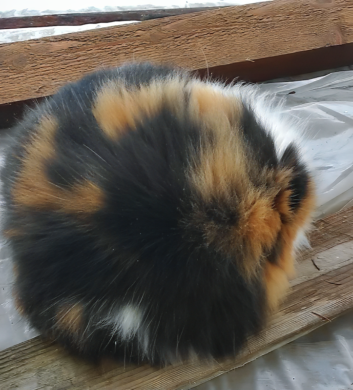 Эта дама умела принимать форму идеального шара