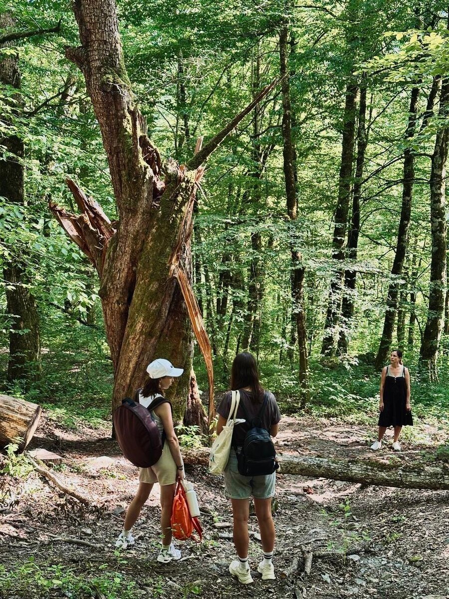 Природа очень помогает в замедлении. Чтобы это сработала, ходите в лес без телефонов или хотя бы не доставайте гаджеты во время прогулки. Вместо этого погружайтесь в звуки леса.  