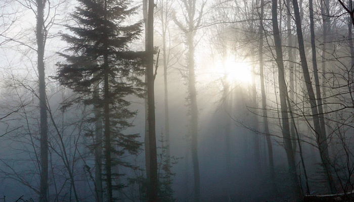 16 ноября наступает Анна Холодная. Фото: pxhere.com