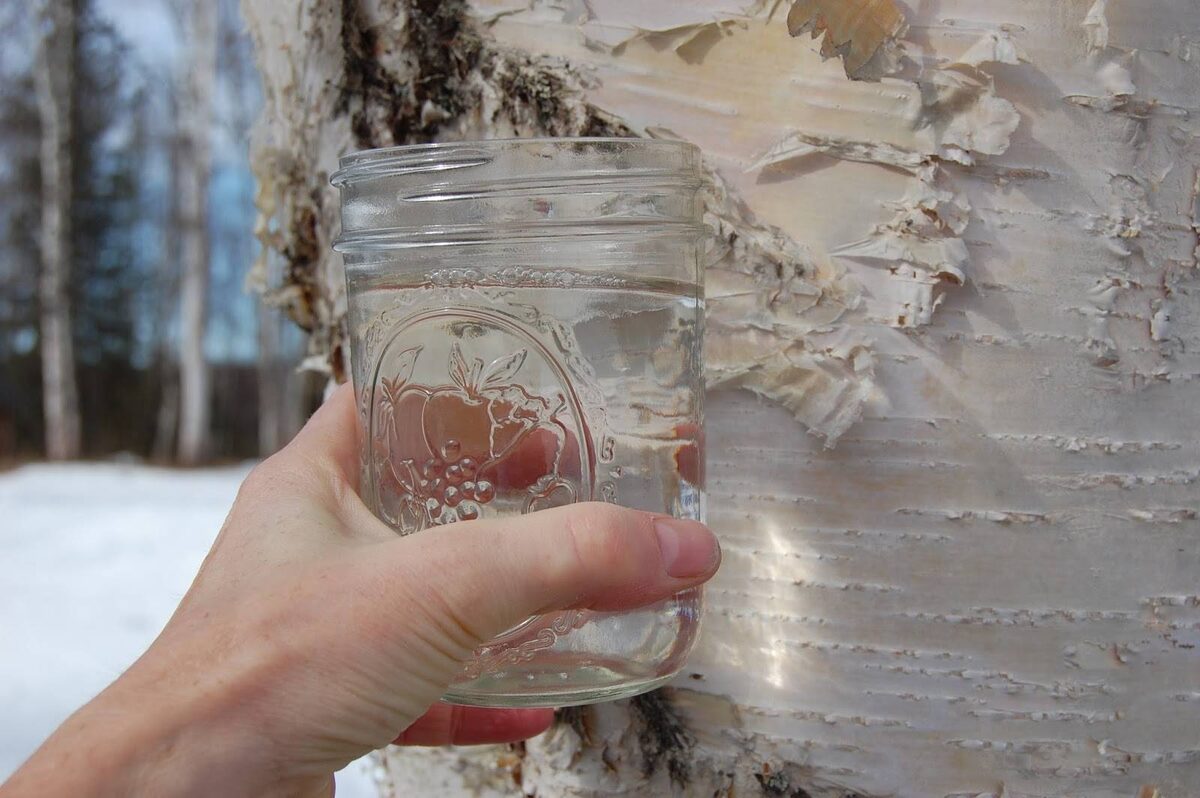    Этот напиток выводит токсины лучше дорогих БАДов