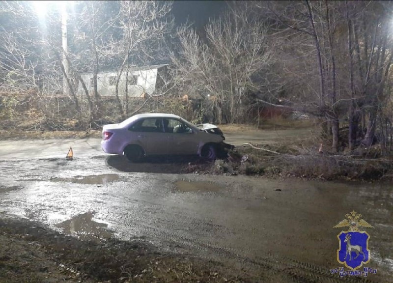    Фото ГУ МВД РФ по Самарской области