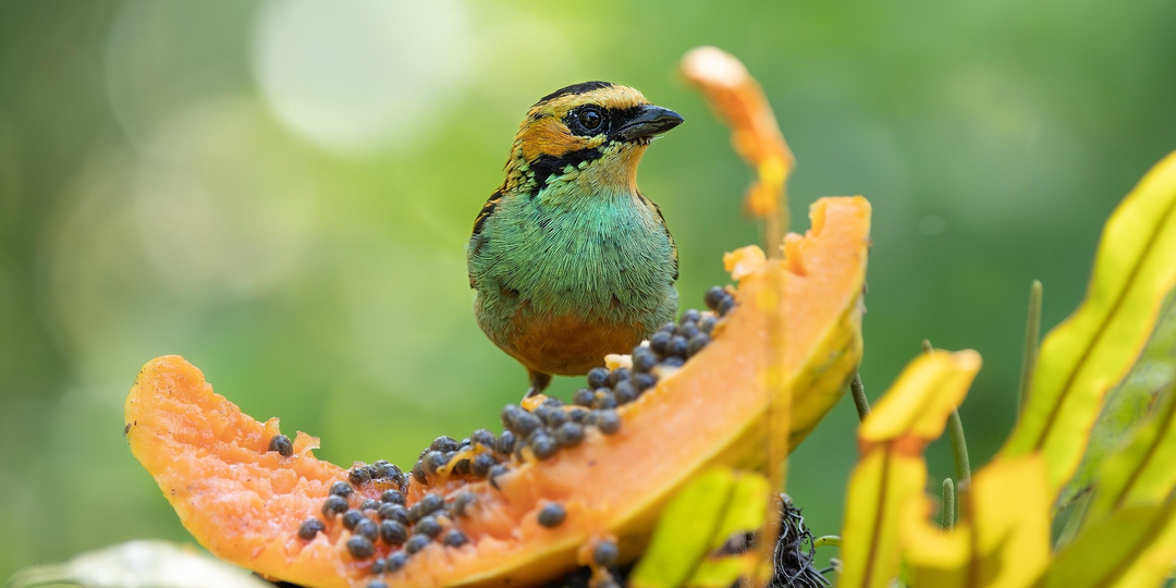 Тест на уровень интеллекта: ответьте на 10 вопросов, которые ставят в тупик даже профессоров! 🧠