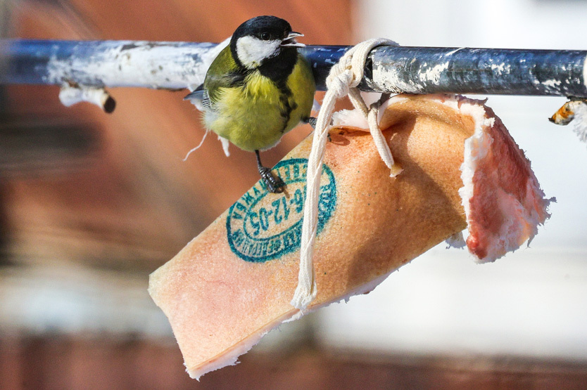 Фото: Владимир Смирнов / ТАСС