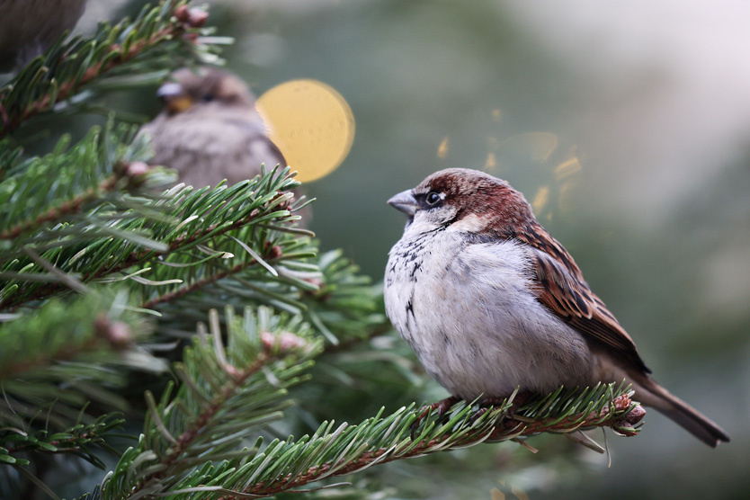   Фото: Сергей Булкин / ТАСС