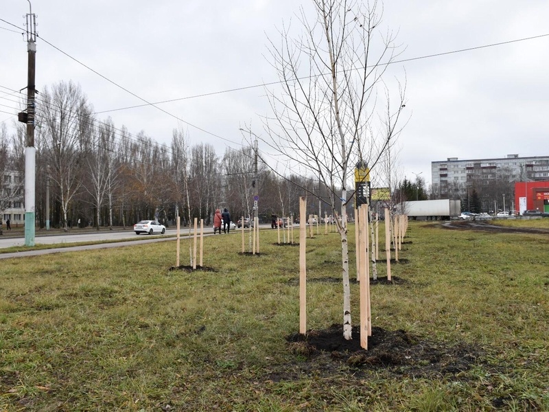    Фото: T.me/denisov_ov