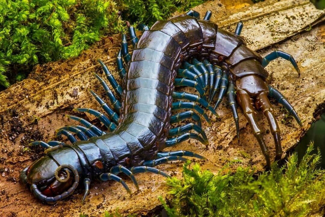 Фотография из интернета