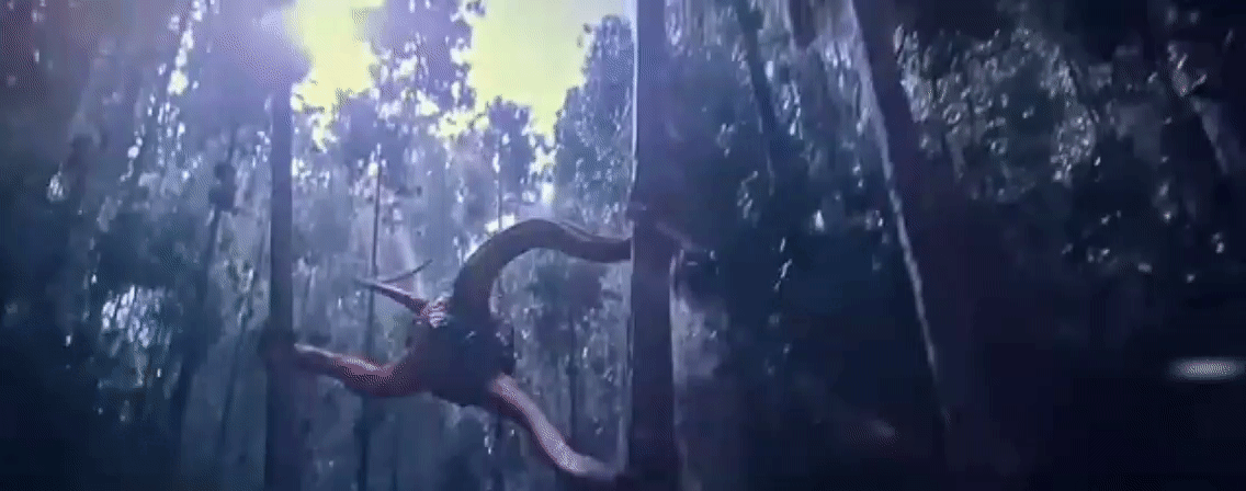 Лунный клещ(анимированный кадр)