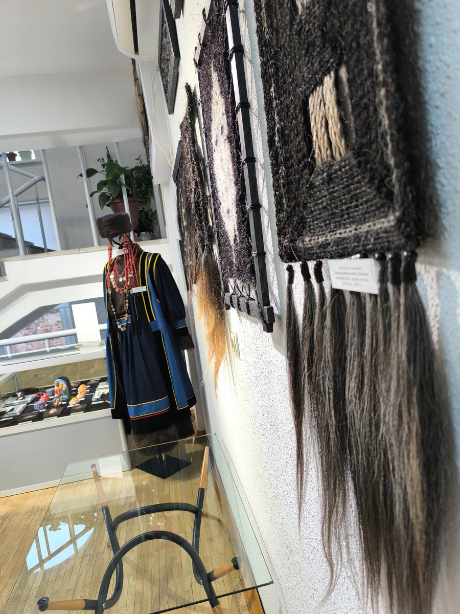 Выставка в Доме-музее В. С. Рогаля (© Анна, «Маяк энерджайзера»)