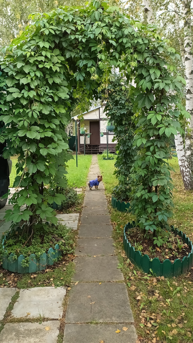 Фото из личного архива 