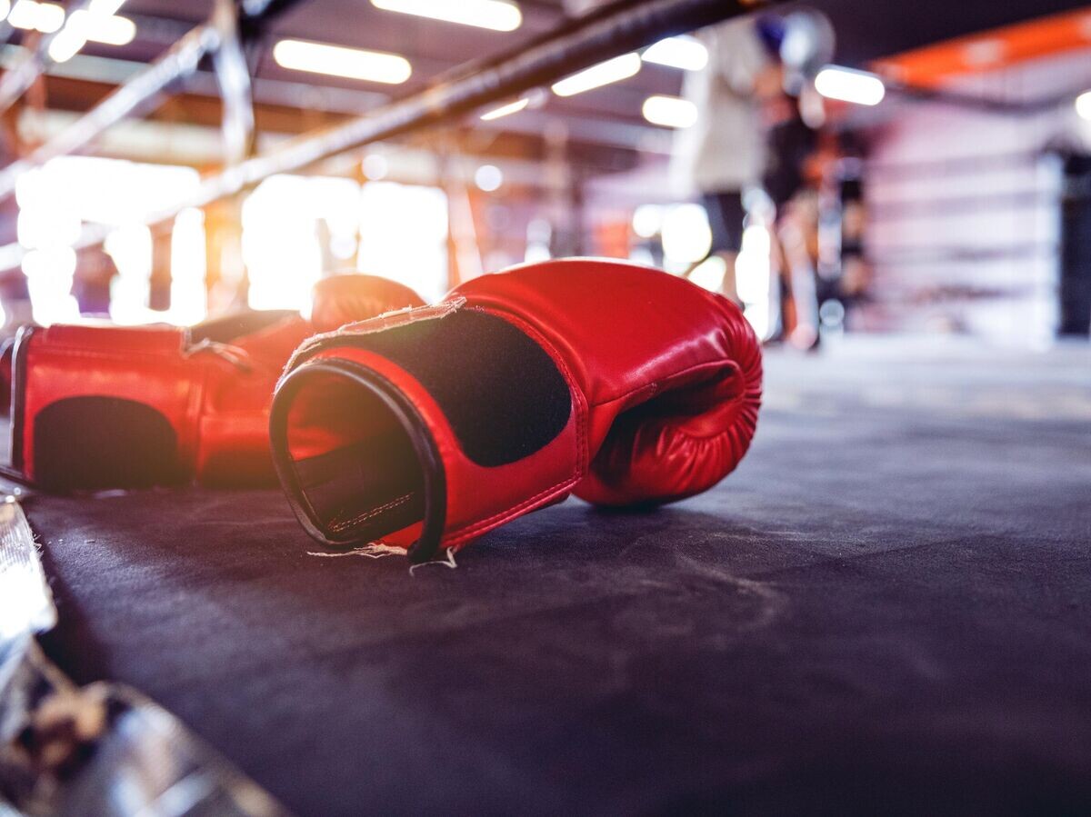   Боксерские перчатки лежат на ринге© iStock.com / LeoPatrizi