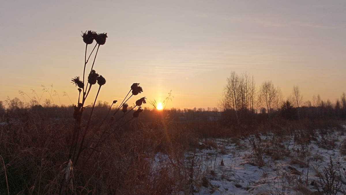 Фото автора канала "Волнушка"