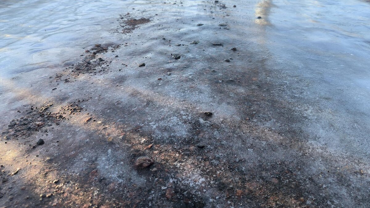    Фото: Maksim Konstantinov/globallookpress.com