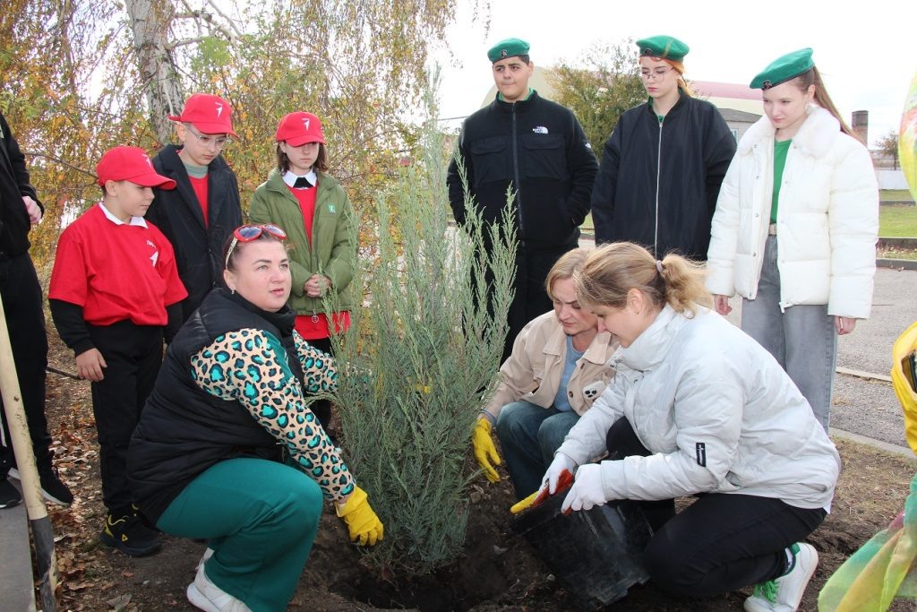 Фото автора Любовь Воротынцева  📷
