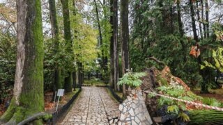     пресс-служба Сочинского нацпарка Юлия Виноградова