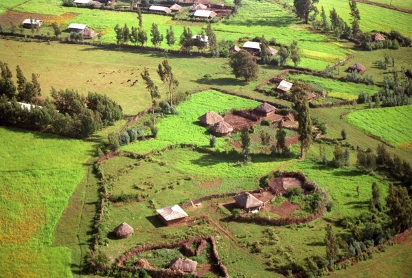 Фото: РИА Новости/ Андрей Соломонов