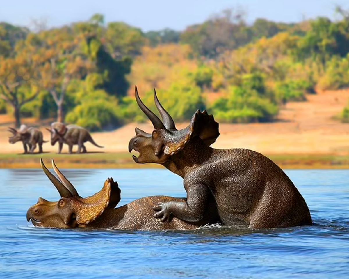 Давай по-быстрому, пока они не видят.