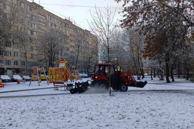    Фото: Комитет по благоустройству Санкт-Петербурга