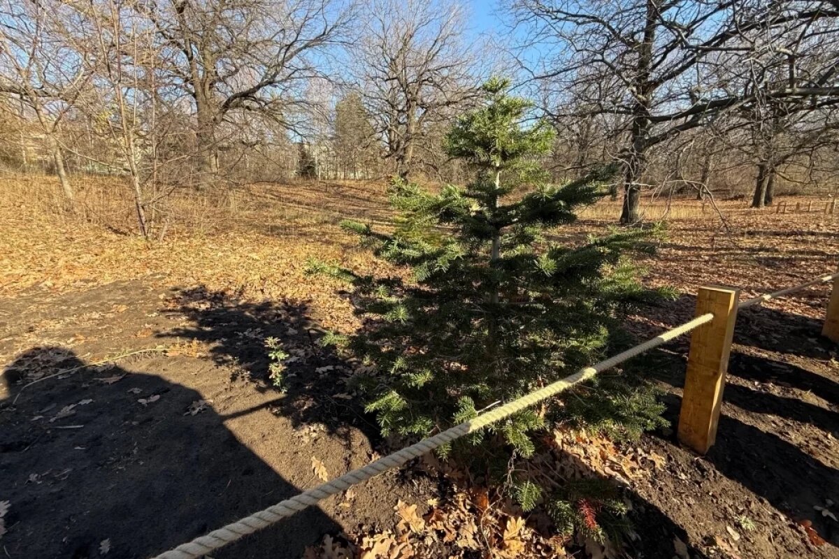    Саратовцам объяснили, как добраться до Ботанического сада СГУ