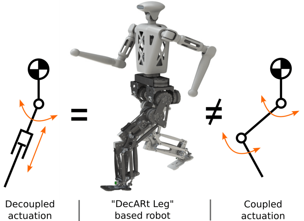 Концепция конструкции ноги DecARt: несвязанные приводы, все двигатели расположены выше колена, антропоморфный внешний вид с коленом, обращенным вперед.