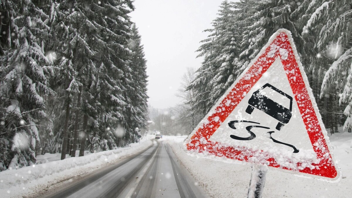    Фото: Igor Link/Shutterstock/Fotodom