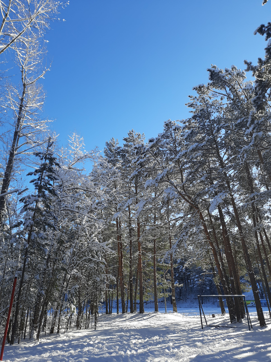 Снег, тишина