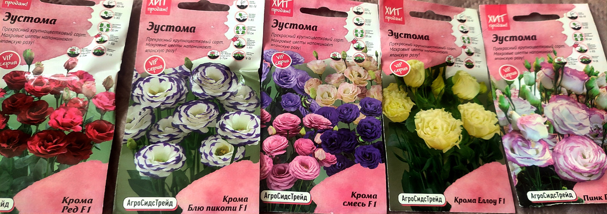 Мой набор семян