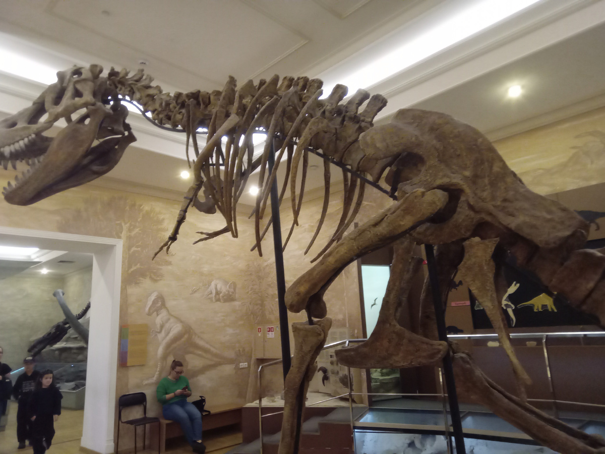 Еще один экспонат.