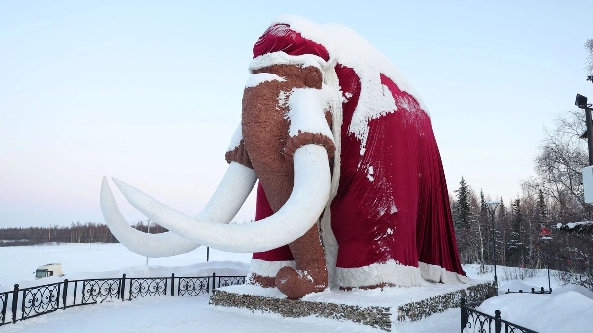    Фото: Андрей Ткачев/«Ямал-Медиа»