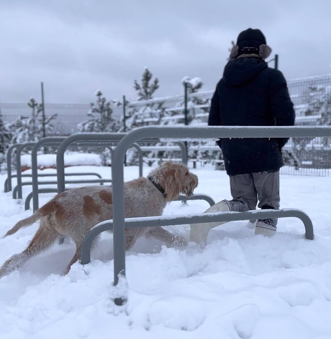 Это я и Леший на прогулке