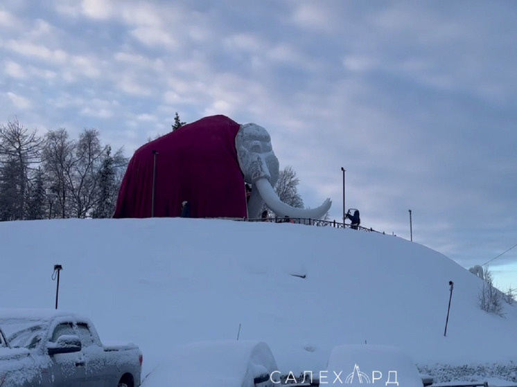     Фото: администрация Салехарда