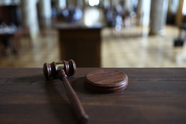 Дело Ларисы Долиной. Московский городской суд опубликовал апелляционное определение.