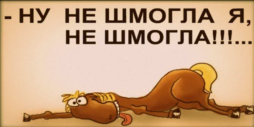 Ну не шмогла, не шмогла онО...