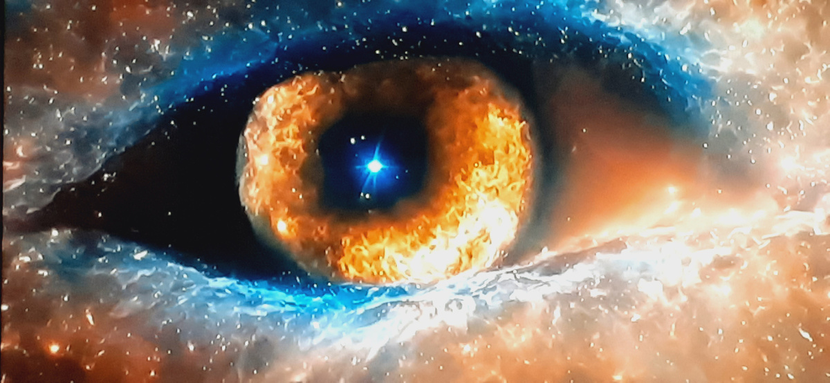 Фото из свободных источников