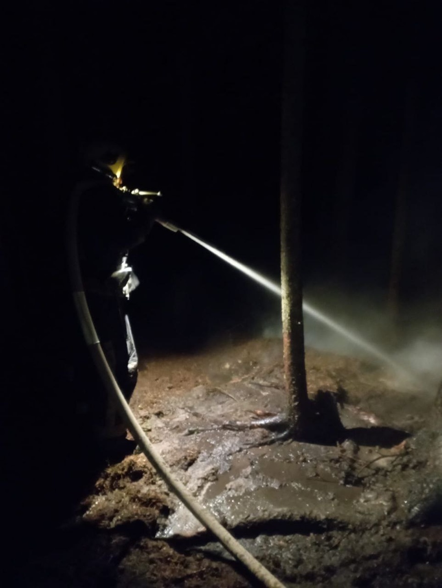    Госкомитет Карелии по безопасности