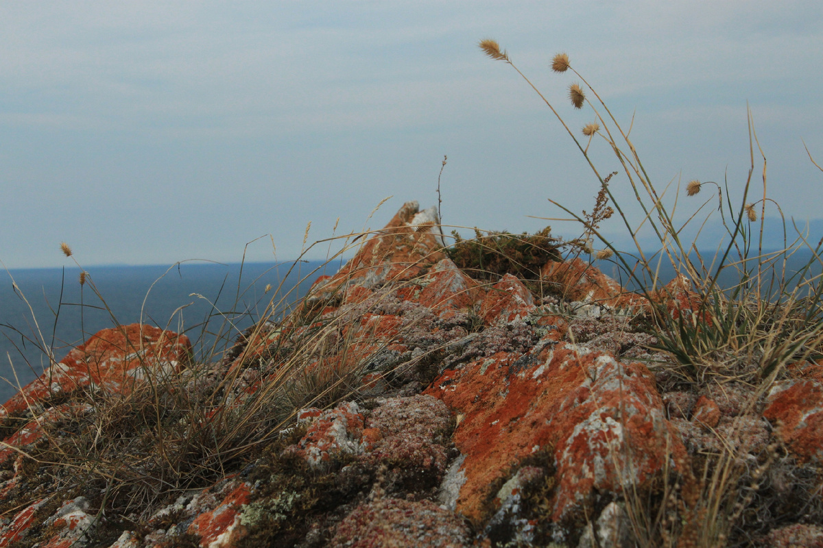 Автор фото: Misha Zhogolev
