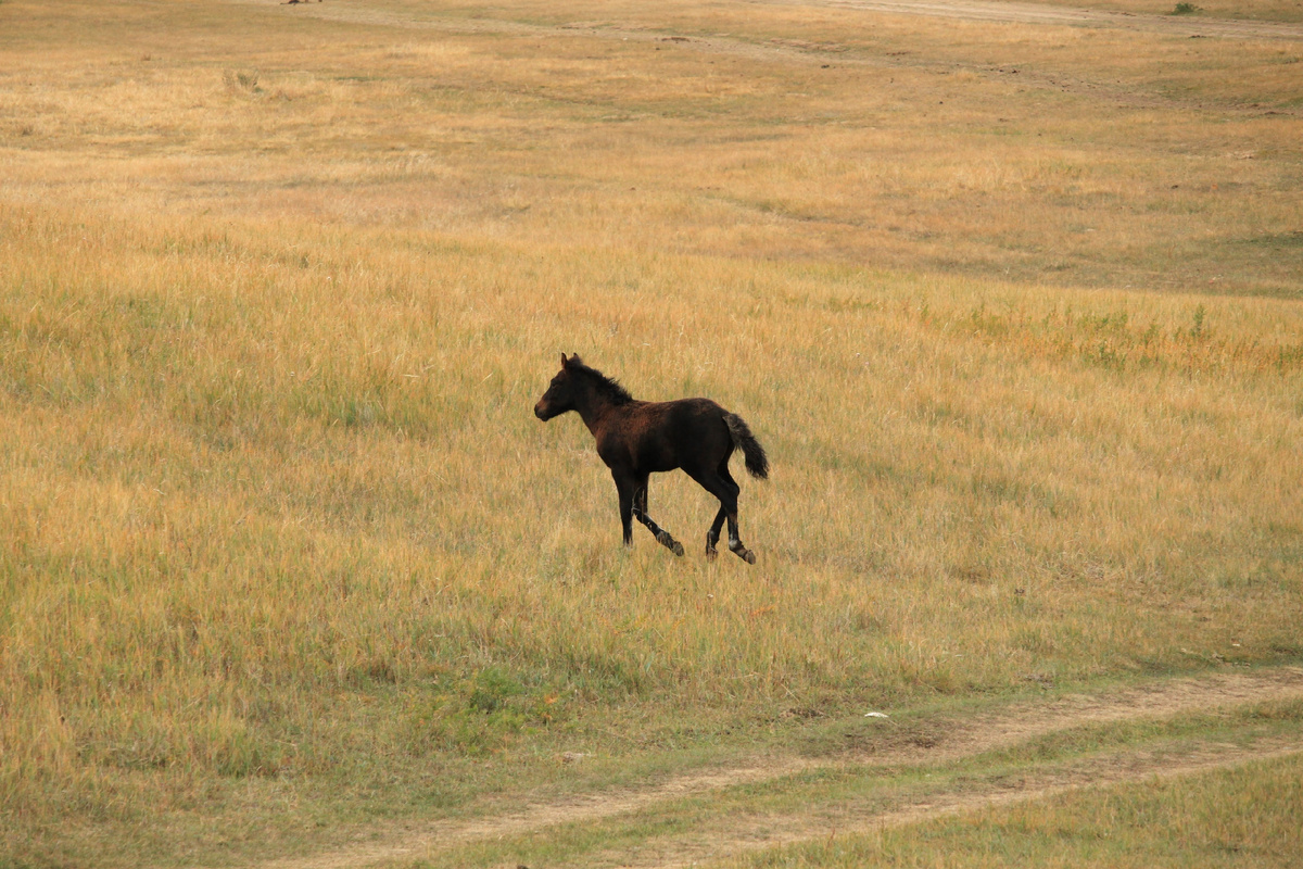 Автор фото: Misha Zhogolev