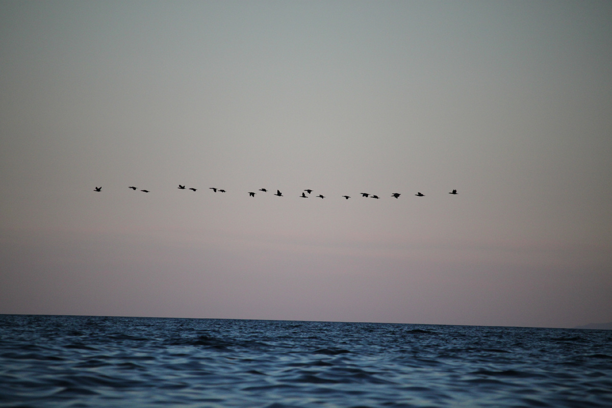 Автор фото: Misha Zhogolev