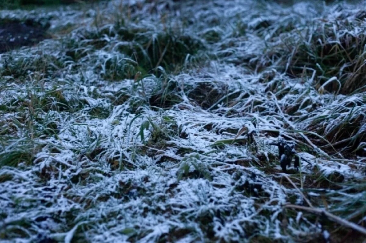    Холода в Тверской области усилятся