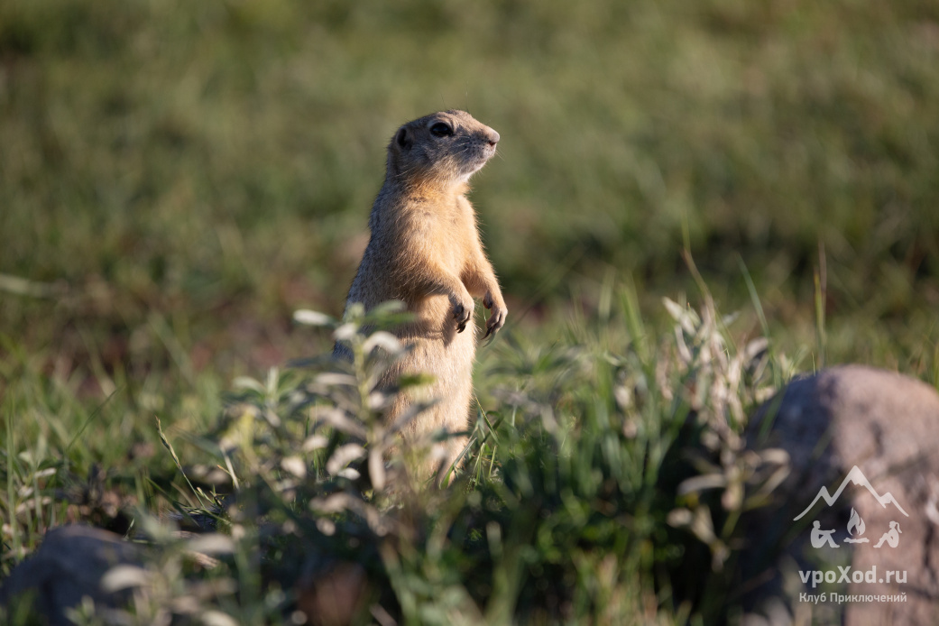 Автор фотографии: Анастасия Андрюхина