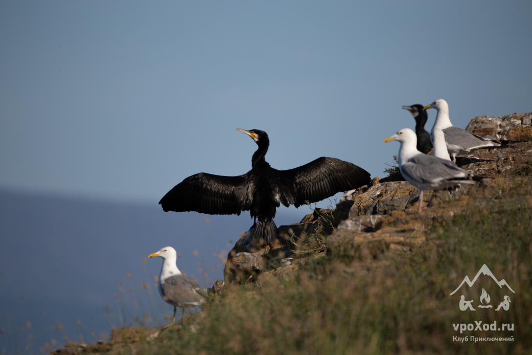 Автор фотографии: Анастасия Андрюхина