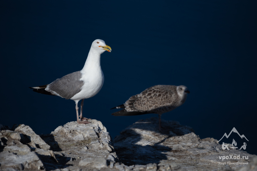 Автор фотографии: Анастасия Андрюхина
