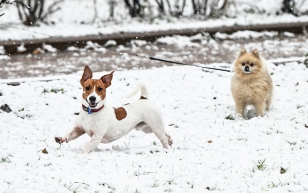 Фото: РИА Новости/Максим Блинов
