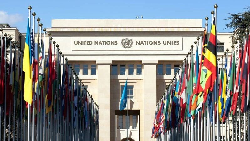    Фото: Mark Van Scyoc/Shutterstock/Fotodom