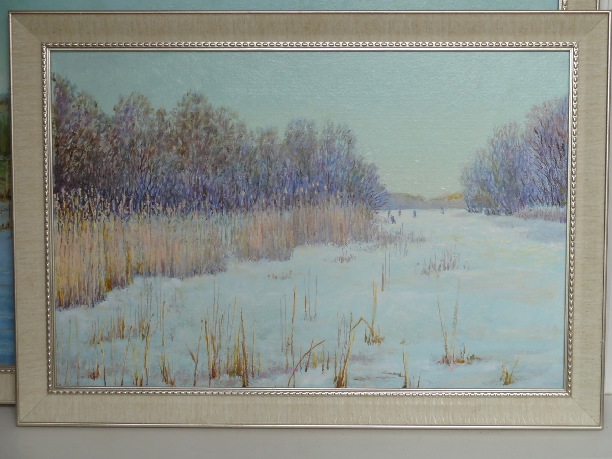    Камызякский район. Рыбаки на зимнем ерике