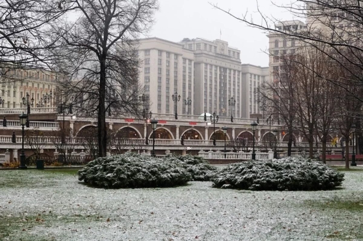   Синоптик Ильин: выпавший в Москве первый снег растает через три дня