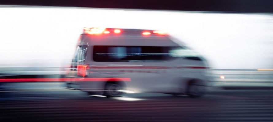    фото: ©YANGHONG YU / Unsplash